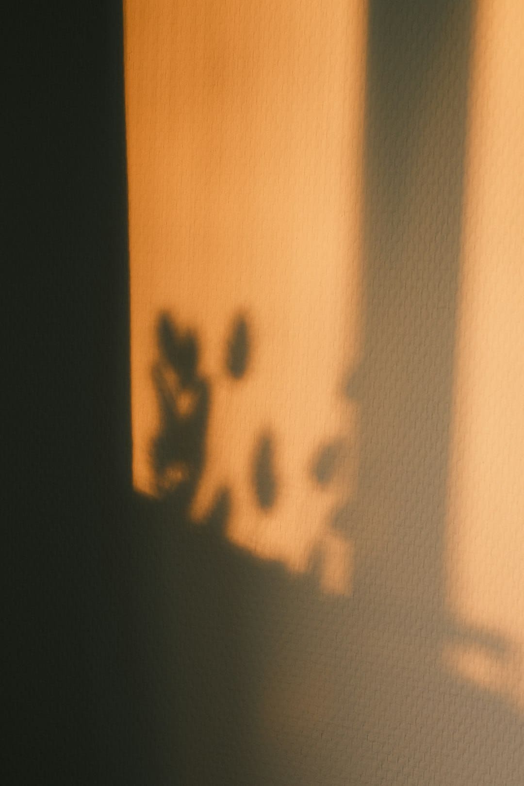 http://n.sinaimg.cn/news/transform/w600h400/20180313/5cXR-fysfimu7753606.jpg?zdy